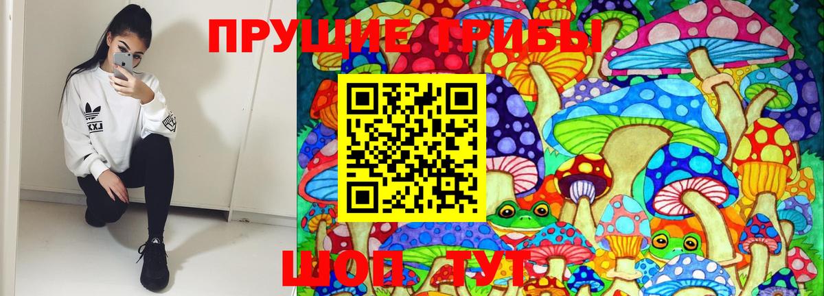 Арсеньев  Псилоцибиновые грибы GOLDEN TEACHER  Галлюциногенные грибы Magic Shrooms  Вход с VPN 